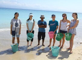 Turtle project